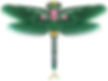 Dragonfly Shaped Soft Winged Kite