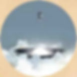 Ink Grey — Mo Hui (墨灰)