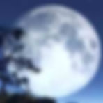 Moon White — Yue Bai (月白)