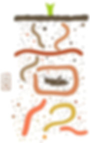 Beginning of summer of Chinese Solar Terms, Li Xia.