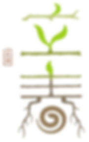 Beginning of Spring of Chinese Solar Terms, Li Chun.