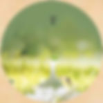 Bamboo Cyan — Zhu Qing (竹青)