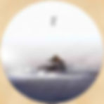 Snow White — Xue Se (雪色)