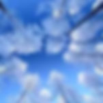 Frost White — Shuang Se (霜色)