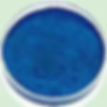 Herbal Blue — Dian Lan (靛蓝)