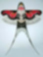 Chinese Kite