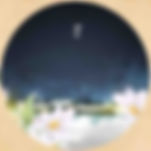 Eyebrow Blue — Dai Lan (黛蓝)