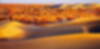 Taklimakan Desert in Xinjiang
