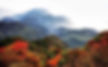 Colorful Autumn Scenery of Mount Emei. 