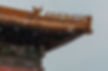 Nine Mythical Animals and Leading Deity on Roof of the Forbidden City